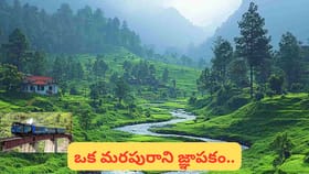 వేసవి స్పెషల్: ఊటీ పర్యటన మరింత మజా కోసం ఫ్రెండ్లీ అప్‌డేట్!