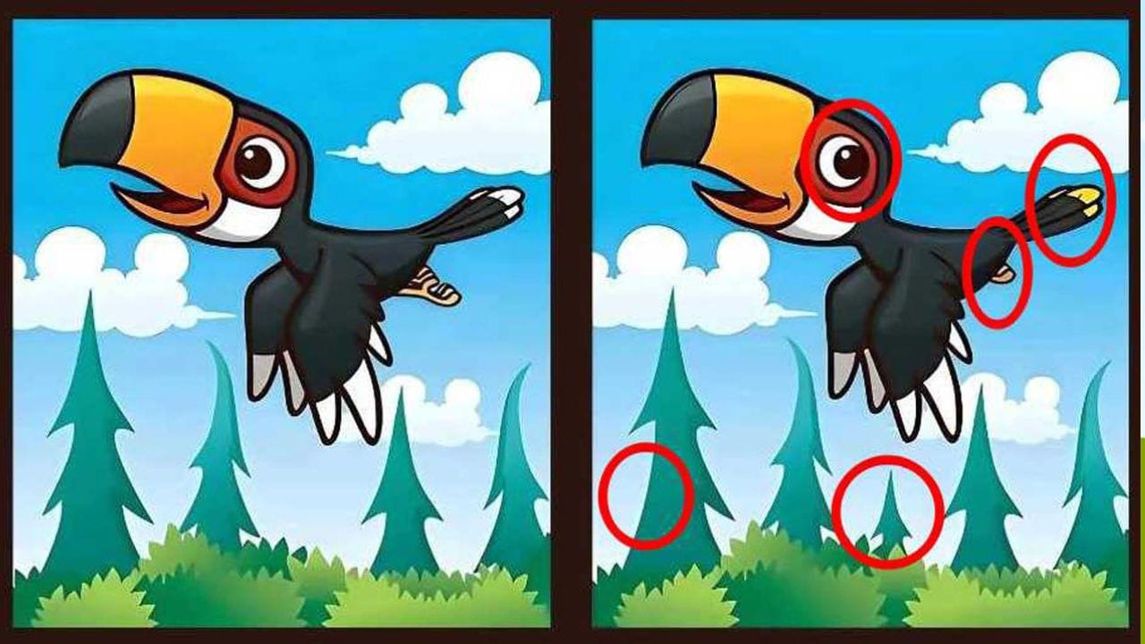 Optical Illusion (3)