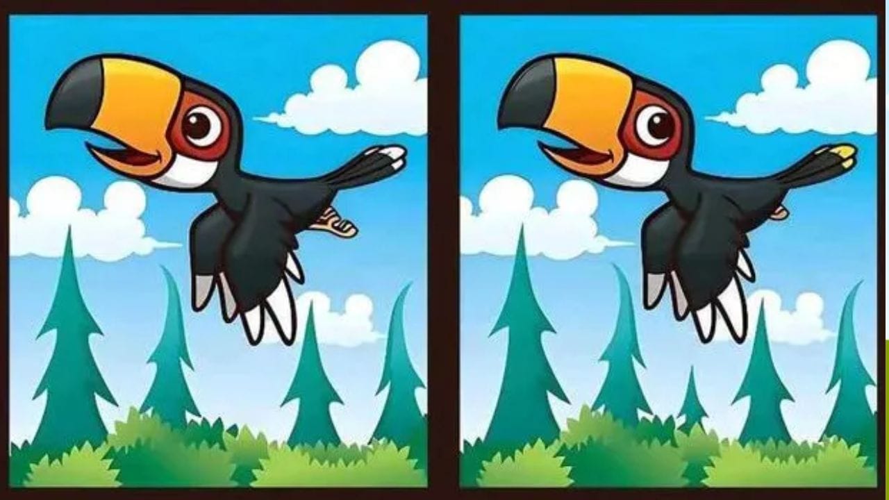 Optical illusion: మీ కళ్లకు సూపర్ టెస్ట్.. ఈ రెండు ఫోటోల మధ్య ఉన్న 5 తేడాలను 12 సెకన్లలో కనిపెట్టండి!