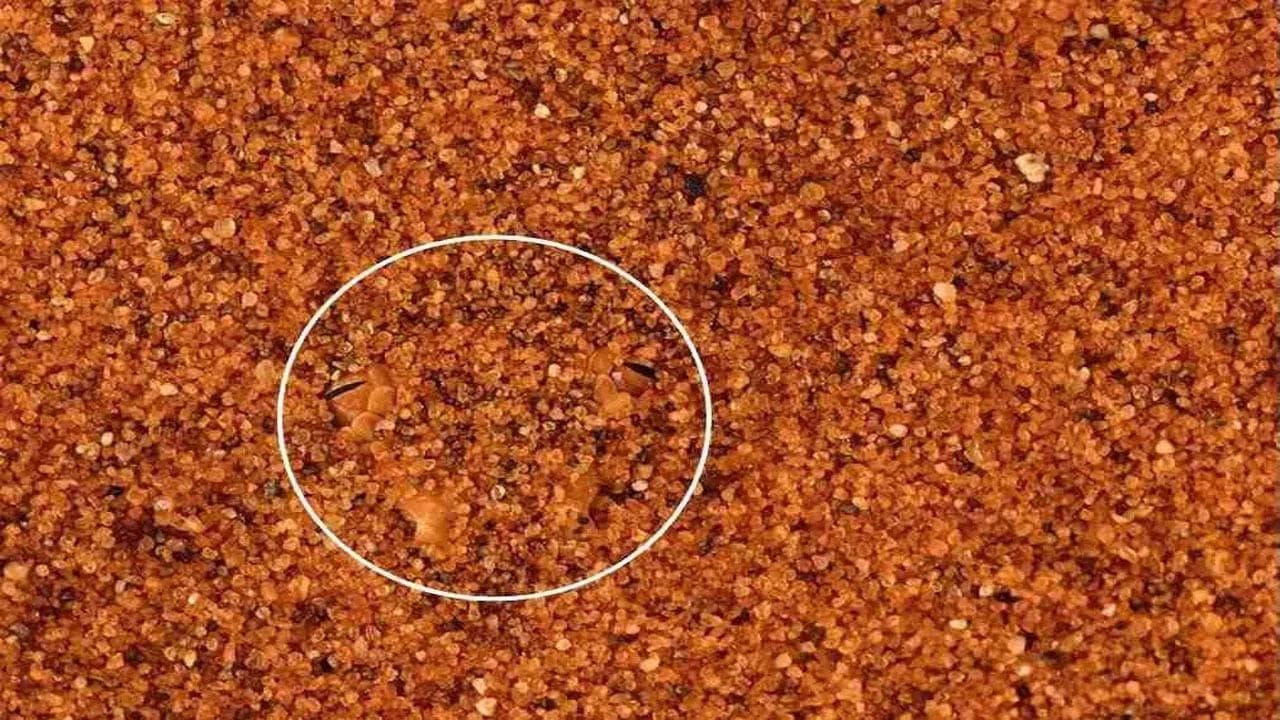 Optical Illusion (5)