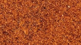 ఈ చిత్రంలో దాగిఉన్న పామును 5 సెకన్లలో కనిపెడితే మరే తోపు