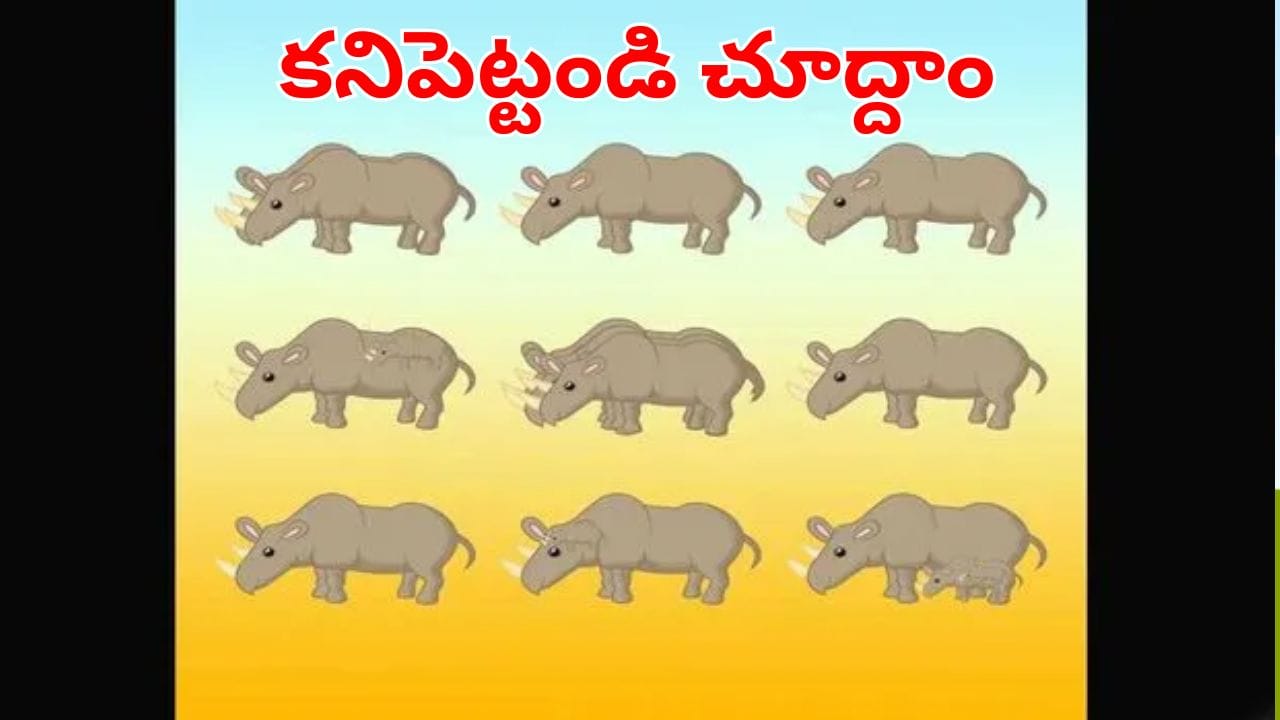 Optical Illusion: మీకో సవాల్.. ఈ చిత్రంలో ఎన్ని రైనోలు ఉన్నాయో 10 సెకన్లలో గుర్తిస్తే మీరే తోపులు!
