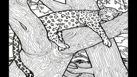 ఈ ఫోటోలో ఉన్న చేపను కనిపెడితే మిమ్మల్ని మించిన తోపులు లేరు!