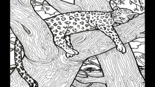 Optical Illusion: దమ్ముంటే కాస్కో.. ఈ ఫోటోలో ఉన్న చేపను కనిపెడితే మిమ్మల్ని మించిన తోపులు లేరు!