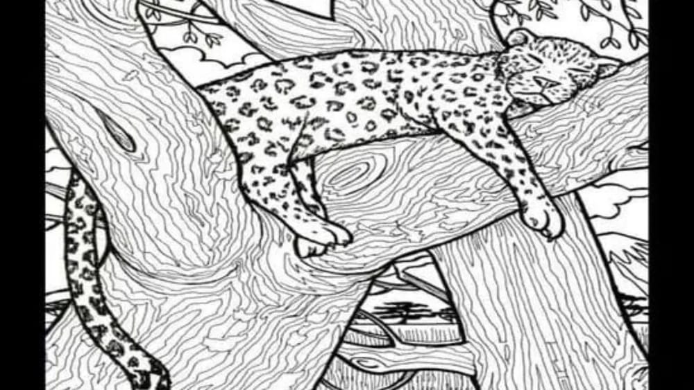 Optical Illusion: దమ్ముంటే కాస్కో.. ఈ ఫోటోలో ఉన్న చేపను కనిపెడితే మిమ్మల్ని మించిన తోపులు లేరు!