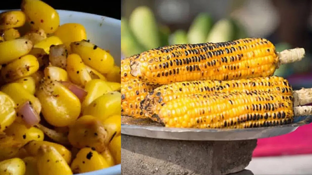 మొక్కజొన్న: మెక్సికోలో పుట్టిన మొక్కజొన్నను కొలంబస్ యూరప్‌కు తీసుకెళ్లగా, అక్కడి నుంచి పోర్చుగీసు వారు ఆసియాకు తెచ్చారు. గుజరాత్, పంజాబ్ ప్రాంతాల్లో మొదలైన దీని సాగు ఇప్పుడు దేశవ్యాప్తంగా విస్తరించింది. మొక్కజొన్న ఉత్పత్తిలో భారత్ ఇప్పుడు ప్రపంచంలో ఐదో స్థానంలో ఉంది.
