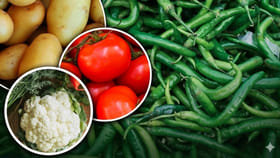 టమాటా, ఆలుగడ్డ ఆ దేశానియా.. మన కంచంలోకి ఎలా వచ్చాయో తెలిస్తే..