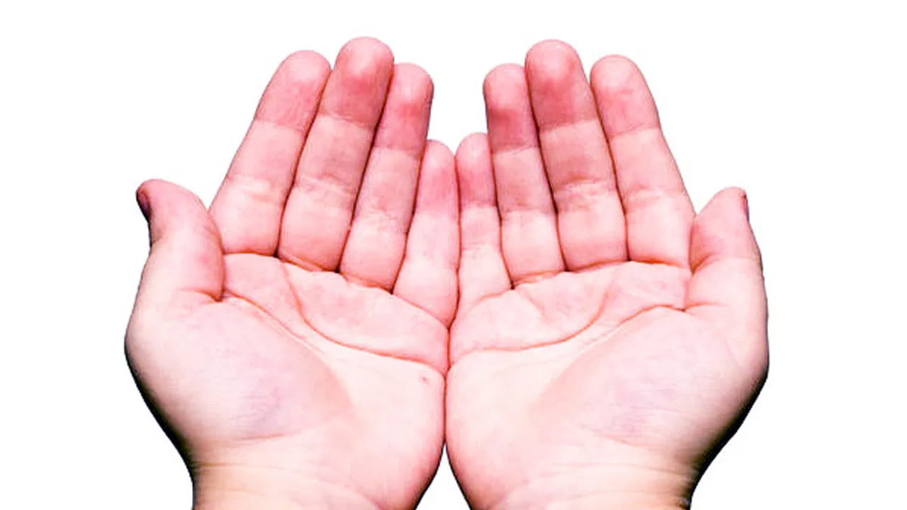 Palmistry 3