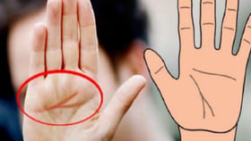 అర చేతిలో y గుర్తు ఉందా.. అయితే మీ జీవితంలో జరిగేది ఇదే!