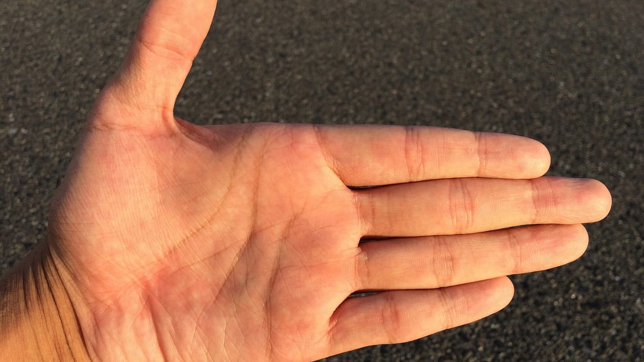 చేతి రేఖలలో అదృష్ట రేఖ ఉంటుంది. ఇది మణికట్టు నుంచి ఉంగరపు వేళు మధ్య వరకు ఉంటుంది. అయితే ఈ రేఖ మధ్యలో నల్లటి చుక్క ఉండటం అస్సలే మంచిదికాదంట. ఇది ఆర్థిక సమస్యలకు అడ్డు కట్ట అంటున్నారు పం