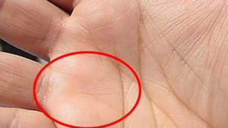 Pomegranate: జ్ఞాపకశక్తిని రెట్టింపు చేసే ఎర్ర ముత్యాలు.. నెల రోజులు క్రమం తప్పకుండా తింటే మీ బుర్రకు గట్టి పదును!