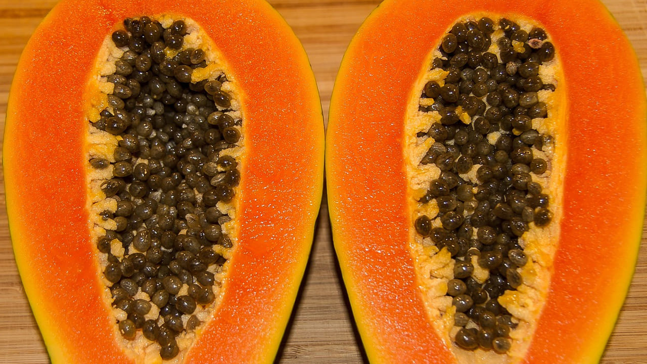 
సంతానోత్పత్తి: బొప్పాయిని మగవారు తింటే పిల్లలు పుట్టడం పై  తీవ్ర ప్రభావం చూపుతుందని కొన్ని అధ్యయనాలు వెల్లడించాయి. అయితే, దీని గురించి సరైన ఆధారాలు ఎక్కడా లేవు.(NOTE: ఇందులోని అంశాలు కేవలం అవగాహన కోసం మాత్రమే. నిపుణులు అందించిన సమాచారం ప్రకారం ఇక్కడ తెలియజేయడమైనది. ఆరోగ్యరీత్యా ఎలాంటి సమస్యలు ఉన్నానేరుగా వైద్య నిపుణులను సంప్రదించడం మంచిది)