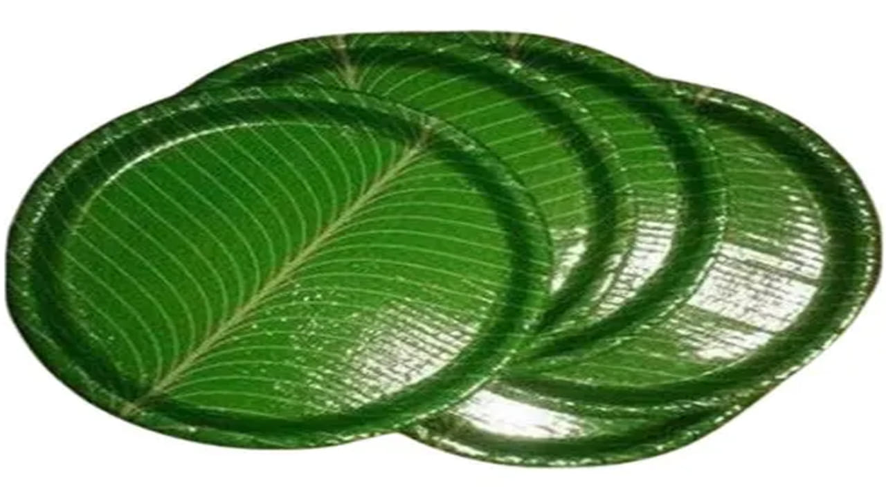 వీడియోలో డాక్టర్ ఠాకూర్ చెబుతున్నారు.. సాధారణంగా మనం వేడిగా ఉండే భోజనాలను పేపర్ ప్లేట్లలో లేదా ప్లాస్టిక్ కవర్తో వడ్డిస్తాము. అయితే, ఇవి సాధారణ పేపర్ ప్లేట్స్ కాకుండా, “క్యాన్సర్ ప్లేట్స్” అని కూడా పిలవవచ్చని హెచ్చరిస్తున్నారు. కారణం: వేడి పదార్థాలు ప్లాస్టిక్ను కరిగించి, మన శరీరంలో మైక్రోప్లాస్టిక్లు, పాలిమర్ రసాయనాలు చేరే అవకాశం ఉంది.