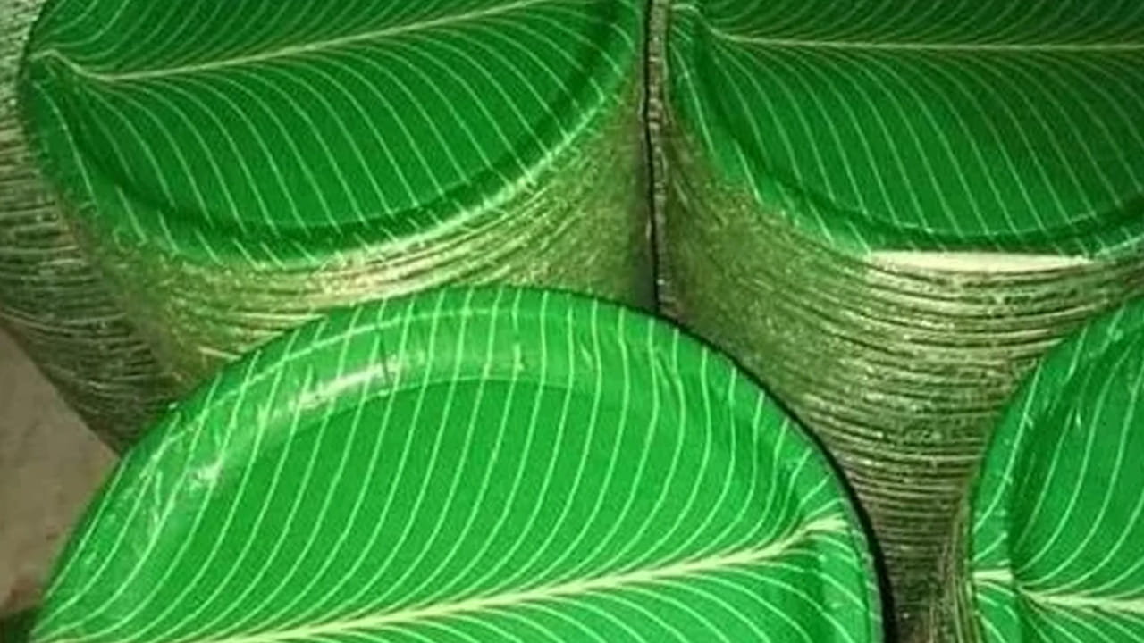 వీటితో పాటు: క్యాన్సర్, హార్మోన్ల అసమతుల్యత, రోగనిరోధక శక్తి తగ్గడం వంటి సమస్యలు వచ్చే అవకాశం. వీధుల్లో వదిలిన ప్లేట్లు ఆవులు వంటి పశువుల ద్వారా తింటే ప్రాణనష్టం కలగవచ్చు. ఇలాంటి ప్లేట్లను కాల్చడం వల్ల హానికర కలుషితాలు గాలి ద్వారా ఊపిరితిత్తుల సమస్యలకు కారణమవుతాయి. దీని ద్వారా వాతావరణ కాలుష్యం కూడా పెరుగుతుంది.