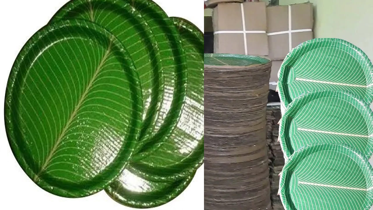 డాక్టర్ సూచన: పర్యావరణాన్నీ కాపాడుతూ, మన ఆరోగ్యాన్ని రక్షించడానికి పేపర్ ప్లేట్ల స్థానంలో చెరుకుతో చేసిన ప్లేట్లు, వెదురు ప్లేట్లు వాడాలని సూచిస్తున్నారు. పెళ్లిళ్లు, ఇతర శుభకార్యాల్లో కూడా ఇవే ప్రత్యామ్నాయంగా ఉపయోగించడం మంచిదని చెబుతున్నారు.