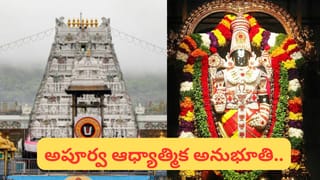 Tirumala: పాలకవర్గం వర్సెస్ ప్రతిపక్షం.. టీటీడీ భగవద్గీత పుస్తకాలపై బిగ్ ఫైట్!