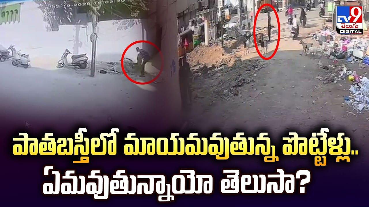 పాతబస్తీలో మాయమవుతున్న పొట్టేళ్లు..ఏమవుతున్నాయో తెలుసా?