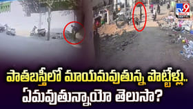 పాతబస్తీలో మాయమవుతున్న పొట్టేళ్లు..ఏమవుతున్నాయో తెలుసా?