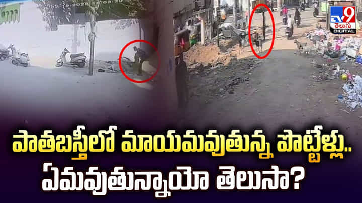 పాతబస్తీలో మాయమవుతున్న పొట్టేళ్లు..ఏమవుతున్నాయో తెలుసా? పాతబస్తీలో మాయమవుతున్న పొట్టేళ్లు..ఏమవుతున్నాయో తెలుసా?