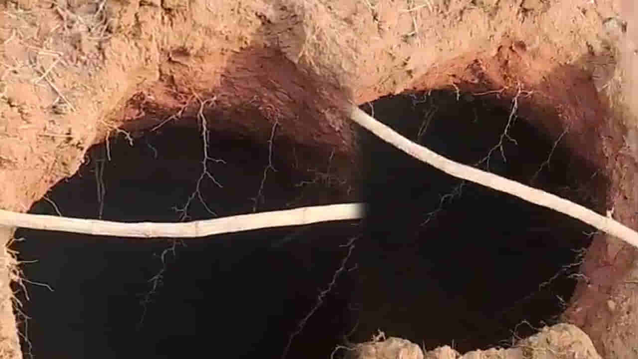 Andhra: తెల్లారి పొలానికి వెళ్లిన రైతుకు కనిపించిన పెద్ద గొయ్యి.. ఏంటని చూడగా కళ్లు తేలేశాడు