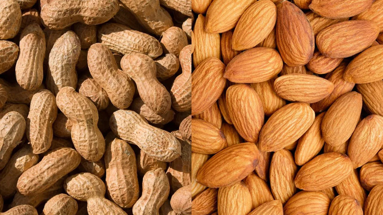 బాదం, వేరుశనగలు రెండింటి వలన ఎన్నో ప్రయోజనాలు ఉన్నప్పటికీ బాదంలో ఫైబర్ కంటెంట్ ఎక్కువగా ఉండం వలన, వాటిని తిన్నప్పుడు కడుపు నిండుగా అనిపిస్తుంది. వేరుశనగల్లో ప్రోటీన్ కంటెంట్ ఎక్కువగా ఉండటం వలన కండరాల పనితీరుకు ఎంతో దోహదం చేస్తుంది. వెయిట్ లాస్ కోసం ఫైబర్ చాలా ముఖ్యం. పీనట్స్ లో ఫైబర్ కొంత ఎక్కువగా ఉంటుంది. ఇది జీర్ణక్రియను మెరుగుపరుస్తుంది. పొట్టను నింపినట్టే అనిపిస్తుంది. బాదాం కూడా ఫైబర్ కలిగినది. కానీ తక్కువ శాతం. 