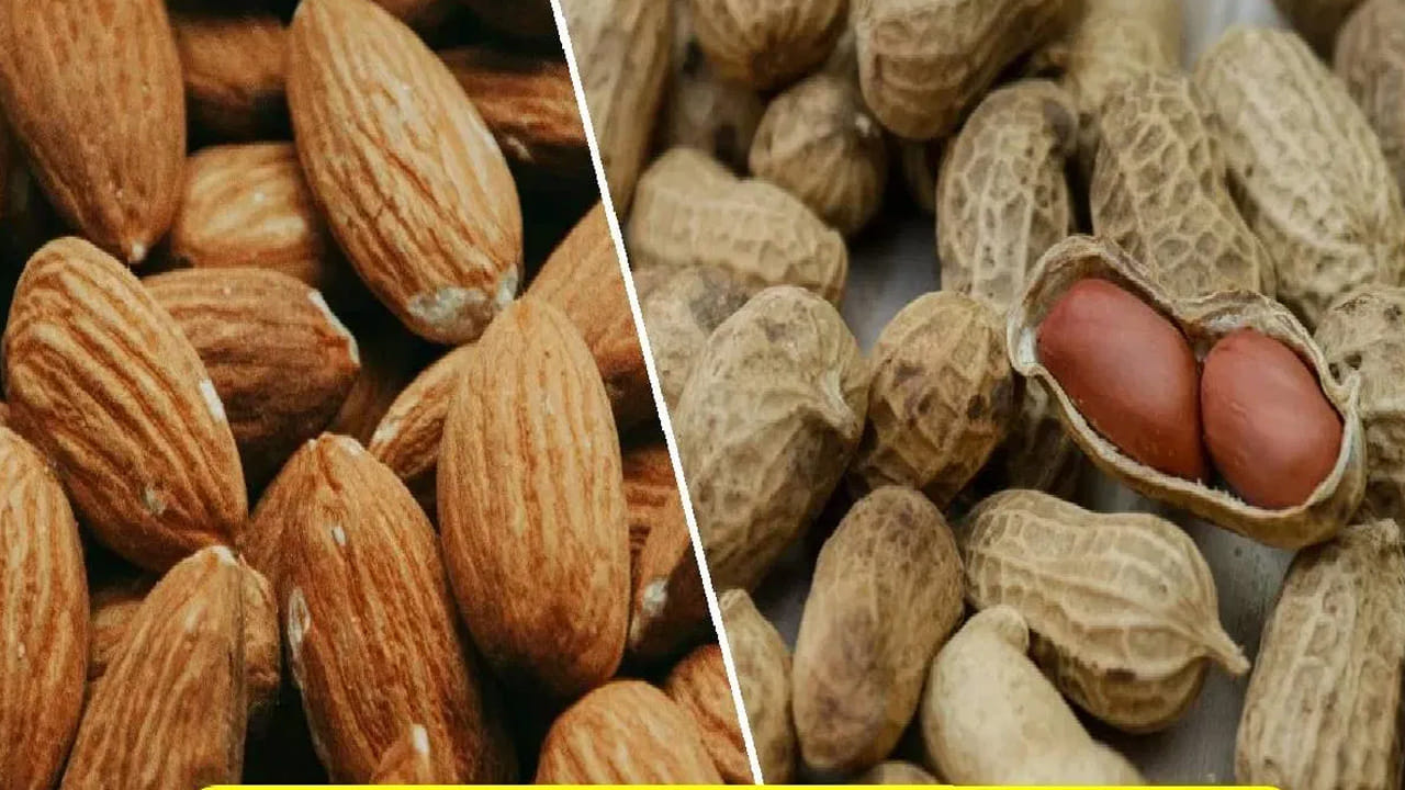 Peanuts Vs Almonds