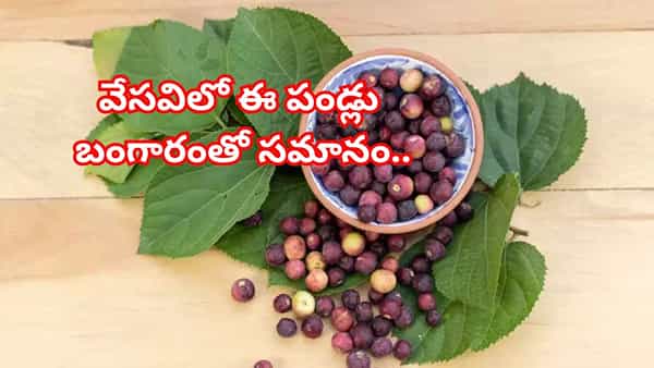 Phalsa Health Benefits: సమ్మర్ స్పెషల్ ఫ్రూట్.. ఈ పండ్లు తింటే గుండెకు చాలా మంచిది..! మరెన్నో