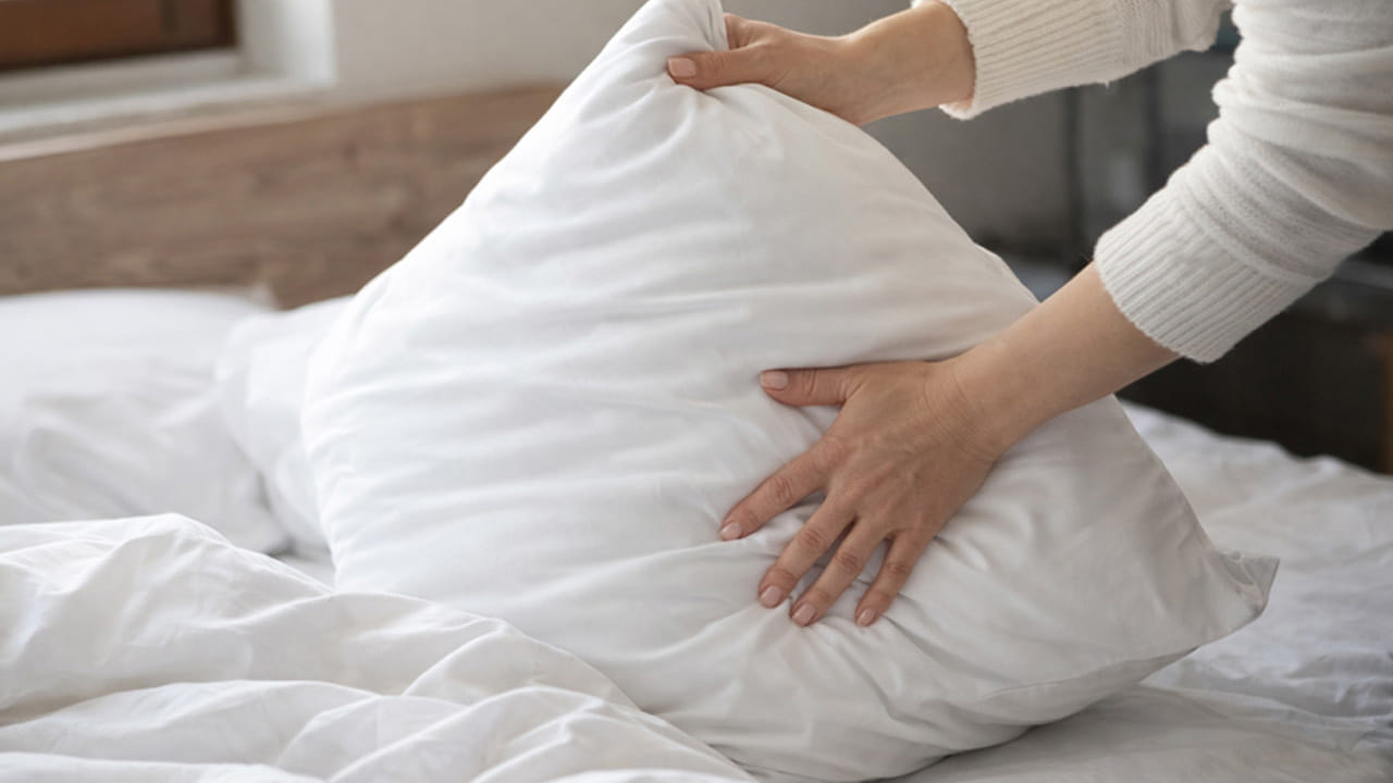 చర్మ సమస్యలు: దిండులో పేరుకుపోయిన బ్యాక్టీరియా ముఖ చర్మానికి తగిలినప్పుడు మొటిమలు (Acne), దద్దుర్లు, ఇన్ఫెక్షన్లు వచ్చే ప్రమాదం ఉంది. ఎన్ని క్రీములు వాడినా మొటిమలు తగ్గడం లేదంటే, సమస్య మీ పాత దిండులో ఉండవచ్చు.