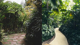 గుండె పోటుకి చెక్ పెట్టే.. రొయ్యల పకోడీ ఇలా చేసి తింటే వందేళ్ళు బతుకుతారు