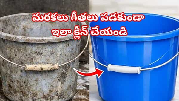 బాత్రూమ్లో వాడే బక్కెట్లు, మగ్గులు మరకలు, గీతలు పడకుండా ఇలా క్లీన్ చేయండి..నిమిషాల్లో కొత్తవాటిలా మెరుస్తాయి!