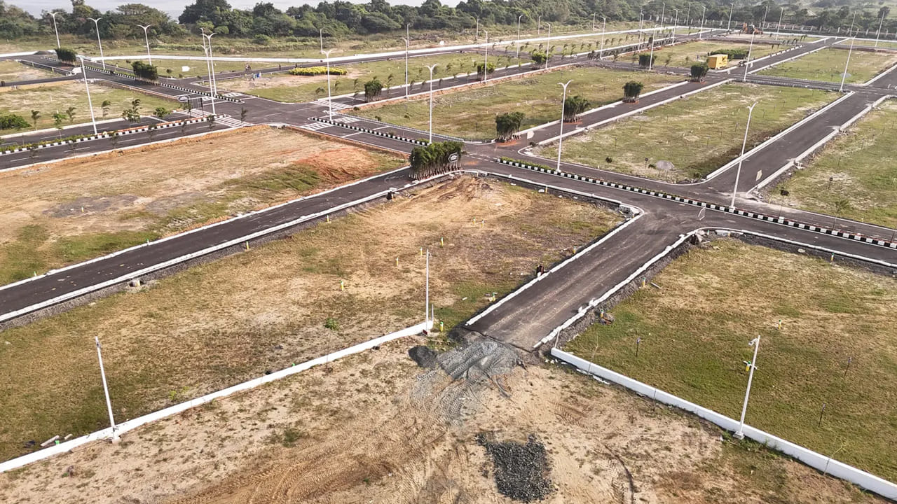 Money Making: మీ ప్లాట్‌ ఖాళీగా పడి ఉందా? అయితే అందులో ఇవి పెంచండి.. డబ్బులే డబ్బులు!