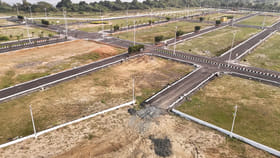 ఇవి పెంచండి.. డబ్బులే డబ్బులు!