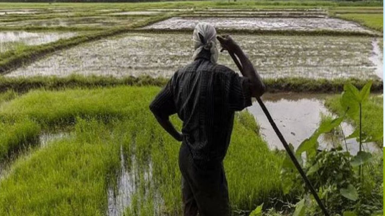 అయితే మీరు పీఎం కిసాన్‌ను సంబంధించి కేవైసీ చేసుకోకపోయినా, లేదా ఆధార్ లింక్‌ లేకపోయినా, అధికారిక పోర్టల్‌లో మీ ID లింక్ చేయడం వంటికి అప్‌డేట్‌ చేసుకోకపోతే మీకు 22వ విడత నిధులు అందకపోవచ్చు. కాబట్టి వెంటనే మీ దగ్గర్లోని మీసేవా కేంద్రాలకు వెళ్లి వాటిని అప్‌డేట్‌ చేసుకోండి.