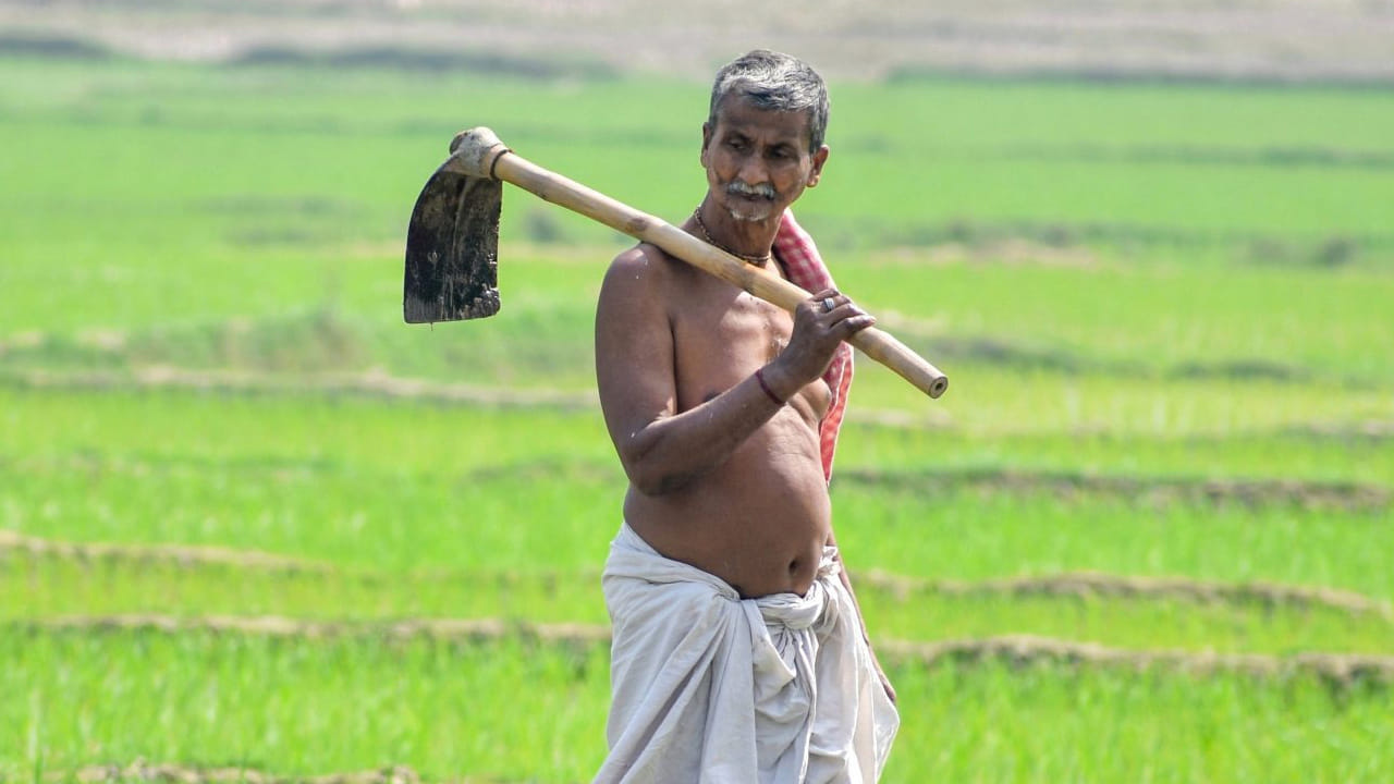 పీఎం కిసాన్ అధికారిక వెబ్ సైట్లోకి వెళ్లి కేవైసీ పూర్తి చేయాలి. ఆధార్ నెంబర్, ఓటీపీ ఉపయోగించి కేవైసీ ప్రాసెస్ చేయాల్సి ఉంటుంది. ఇక సీఎస్‌పీ కేంద్రాలు, బ్యాంకులకు వెళ్లి కూడా కేవైసీ పూర్తి చేసుకోవచ్చు. ఇక 14 రాష్ట్రాల్లో ఫార్మార్ ఐడీ కూడా తప్పసరిగా ఉండాలనే నిబంధన కేంద్రం విధించింది. ఈ రిజిస్ట్రేషన్ ఐడీ ఉంటేనే పీఎం కిసాన్ నిధులు అందుతాయి.
