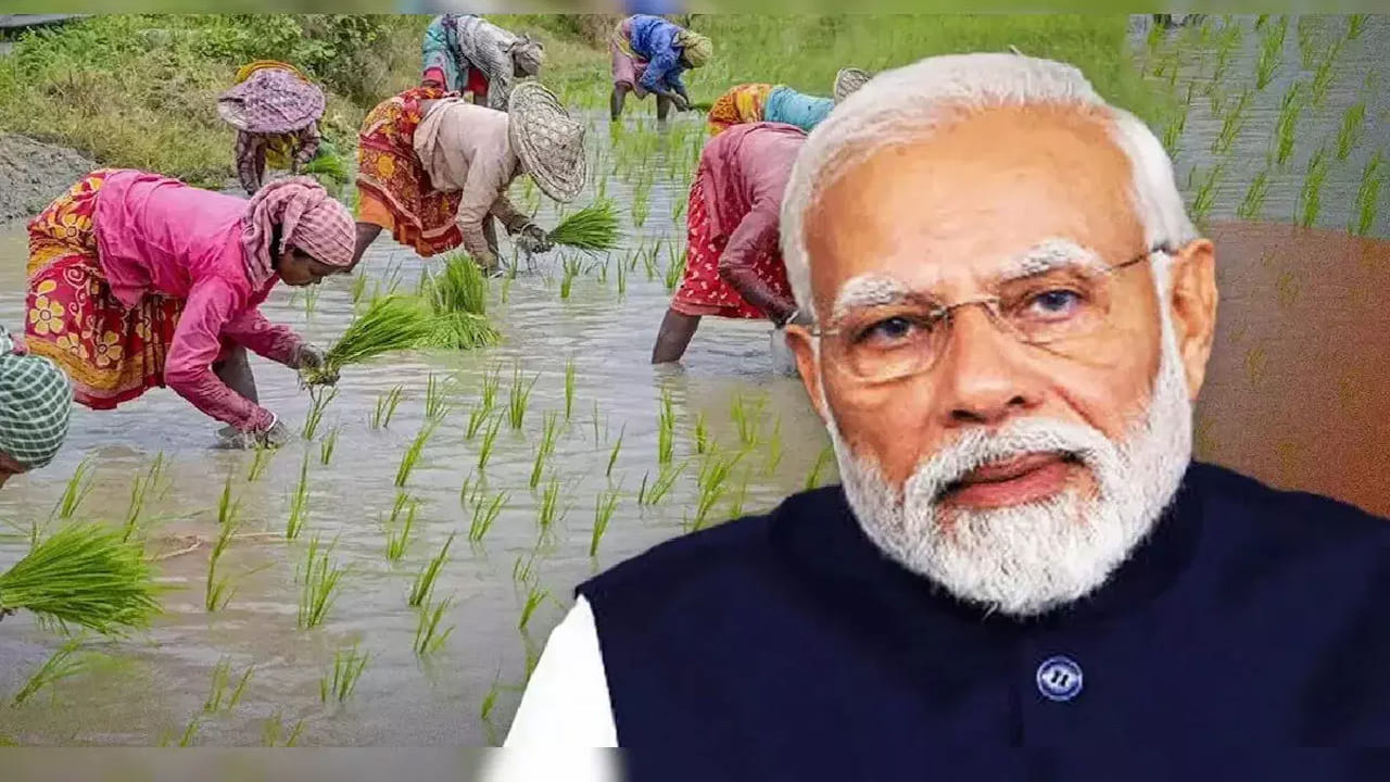 పీఎం కిసాన్ పథకంలో పారదర్శకతను పెంచడం, ప్రభుత్వ నిధుల దుర్వినియోగాన్ని నిరోధించడం కోసం కేంద్రం భారీ రీవెరిఫికేషన్ డ్రైవ్ చేపడుతోంది. దీని వల్ల పీఎం కిసాన్ నిధులు విడుదల చేయడంలో జాప్యం జరుగుతోంది. ఈ వెరిఫికేషన్ ప్రక్రియ చేపట్టాక ప్రభుత్వం నిజమైన అర్హుల బ్యాంక్ ఖాతాల్లో రూ.2 వేలు జమ చేసేందుకు సన్నద్దమవుతోంది.
