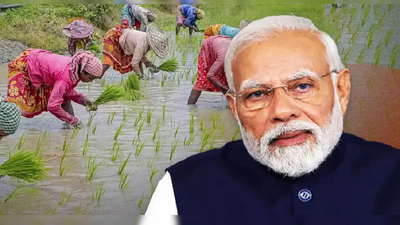 పీఎం కిసాన్ పథకంలో పారదర్శకతను పెంచడం, ప్రభుత్వ నిధుల దుర్వినియోగాన్ని నిరోధించడం కోసం కేంద్రం భారీ రీవెరిఫికేషన్ డ్రైవ్ చేపడుతోంది. దీని వల్ల పీఎం కిసాన్ నిధులు విడుదల చేయడంలో జాప్యం జరుగుతోంది. ఈ వెరిఫికేషన్ ప్రక్రియ చేపట్టాక ప్రభుత్వం నిజమైన అర్హుల బ్యాంక్ ఖాతాల్లో రూ.2 వేలు జమ చేసేందుకు సన్నద్దమవుతోంది.
