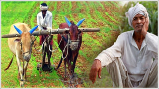 Best Scheme: ఇంట్లోనే కూర్చుని నెలకు రూ.20 వేల సంపాదన.. దీని గురించి మీకు తెలుసా?