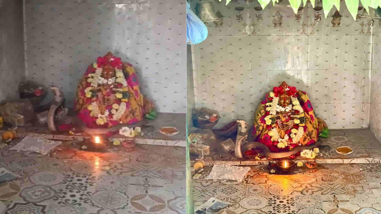 అమ్మవారి మహిమ.. పండగ పూట పోచమ్మ తల్లి ఆలయంలో నాగు పాము అద్భుత దర్శనం