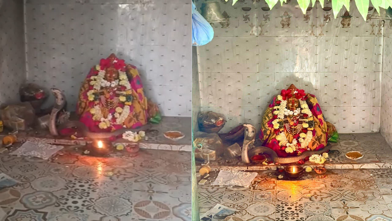 అమ్మవారి మహిమ.. పండగ పూట పోచమ్మ తల్లి ఆలయంలో నాగు పాము అద్భుత దర్శనం