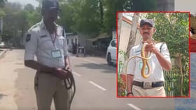 అసెంబ్లీ ప్రాంగణాన్ని షేక్ చేసిన స్నేక్..!