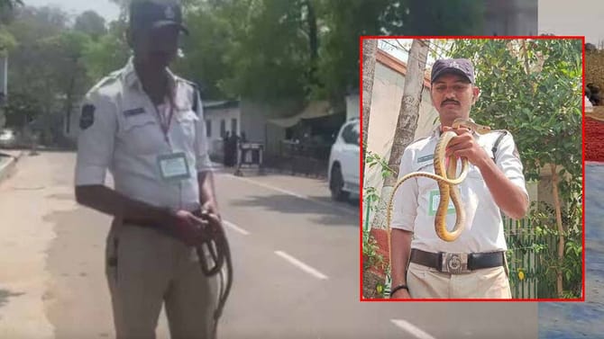 అసెంబ్లీ ప్రాంగణాన్ని షేక్ చేసిన స్నేక్..!