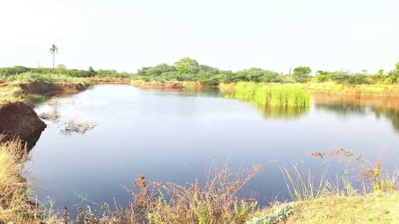 Andhra Pradesh: నీటిలో మునిగిపోతున్న స్నేహితులను కాపాడారు.. అంతలోనే ఊహించని ఘటన..