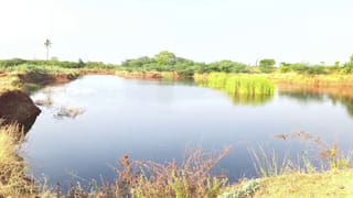 Andhra Pradesh: ఏపీ సర్కార్ సరికొత్త పాలసీ.. ఇకపై వాట్సప్‌లో నిమిషాల్లోనే ఆ కార్డులు జారీ..