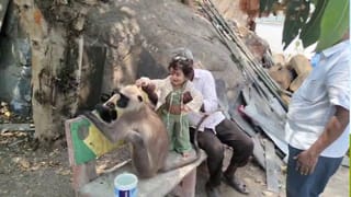 ఈ గుడి చాలా స్పెషల్.. ఎక్కడ చూసిన పాములే.. కొండచిలువలకు VIP ట్రీట్మెంట్.. భక్తితో మొక్కితే