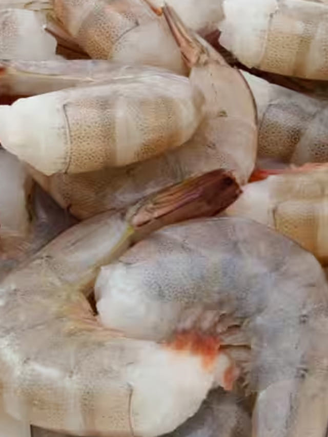 వేసవిలో రొయ్యలు తినొచ్చా? చాలా మంది చేసే పొరపాట్లు ఇవే!