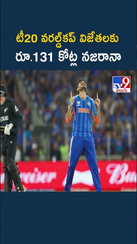 టీ20 వరల్డ్‌కప్‌ గెలిచిన టీమిండియా ఆటగాళ్లకు భారీ నజరానా