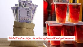 వేసవిలో కాసుల వర్షం.. ఈ ఐదు వ్యాపారాలతో అద్భుత లాభాలు!
