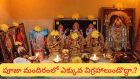 ఈ సంఖ్యలో విగ్రహాలు ఉంచితే ఇంట్లో శుభలక్ష్మి వసిస్తుంది..!