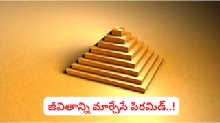 Boiled Egg : ఆరోగ్యంగా ఉండాలంటే.. ఉడికించిన గుడ్డును ఎంత టైంలోపు తినాలి..