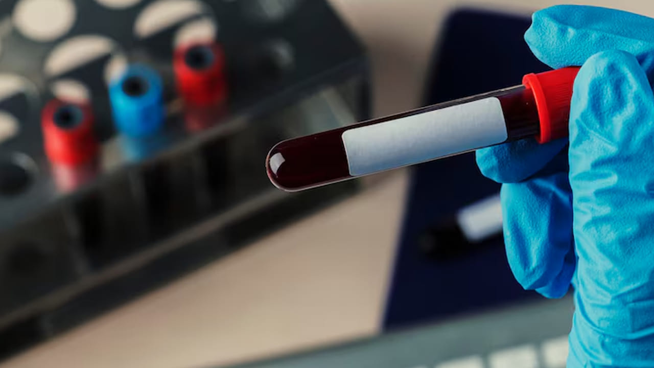 శాస్త్రవేత్తల పరిశీలన ప్రకారం.. కొండచిలువలు తమ కంటే పెద్ద జంతువులను మింగిన తర్వాత, వాటిని అరిగించుకోవడానికి వాటి శరీరం విపరీతమైన శక్తిని ఉపయోగిస్తుంది. ఆ సమయంలో కొండచిలువ రక్తంలో కొన్ని ప్రత్యేక రసాయనాలు విడుదలవుతాయి. ఇవి కేవలం కొన్ని గంటల్లోనే పాము గుండె పరిమాణాన్ని 40శాతం వరకు పెంచుతాయి. ఇలా పెరగడం వల్ల రక్తప్రసరణ వేగవంతమై, తిన్న ఆహారం త్వరగా శక్తిగా మారుతుంది.